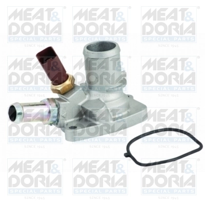 Thermostat, coolant